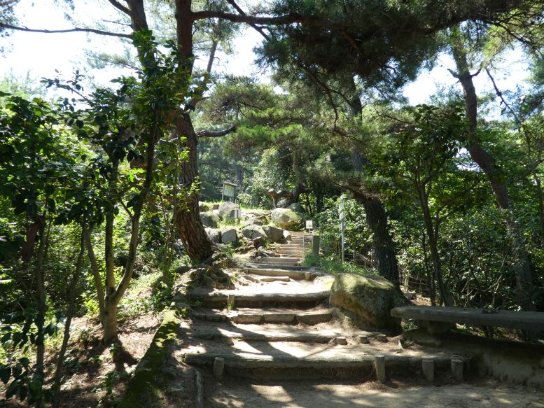 Le chemin de la littérature