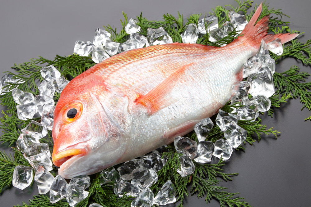 Poisson Tai