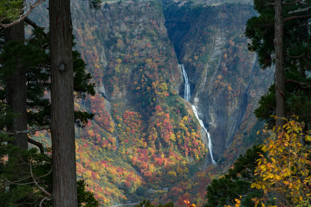 Les chutes de Shomyo