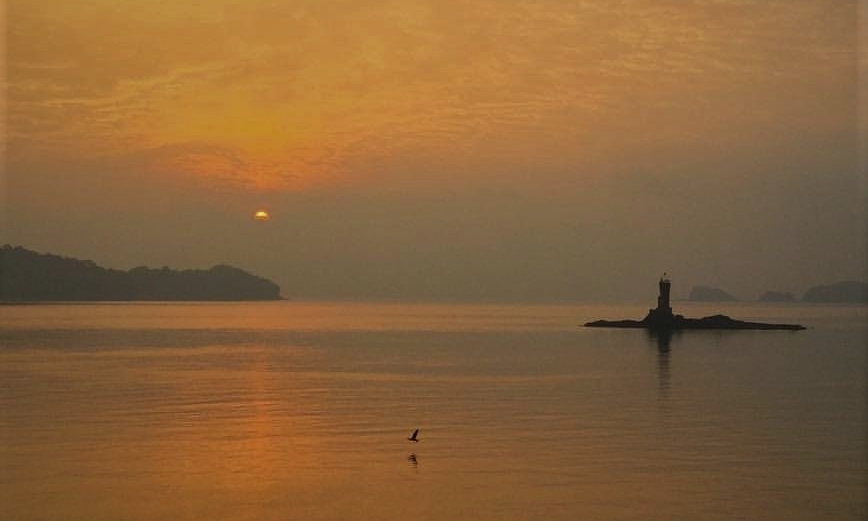 Vue depuis le logement