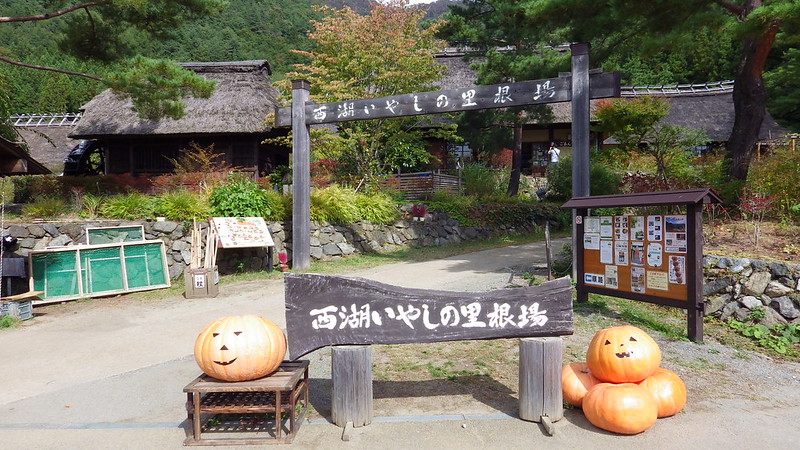 © Yoshihide Urushihara