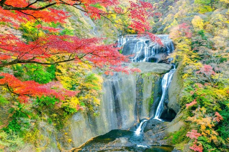 Fukuroda falls
 (préfecture d