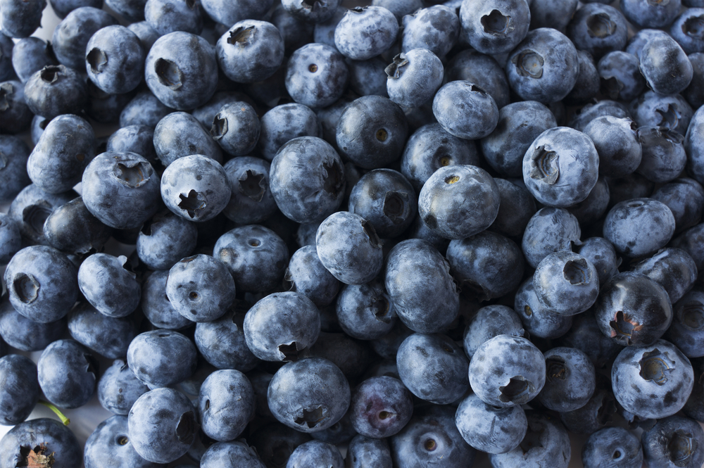 Blueberries