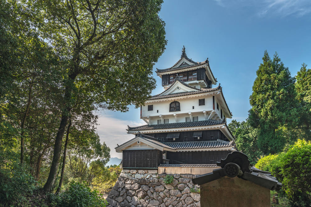 Hagi castle