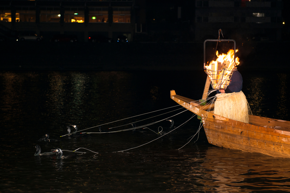 Pêche aux comorans de la rivière Nagara