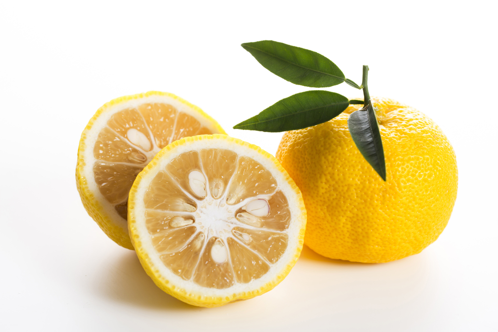 Yuzu