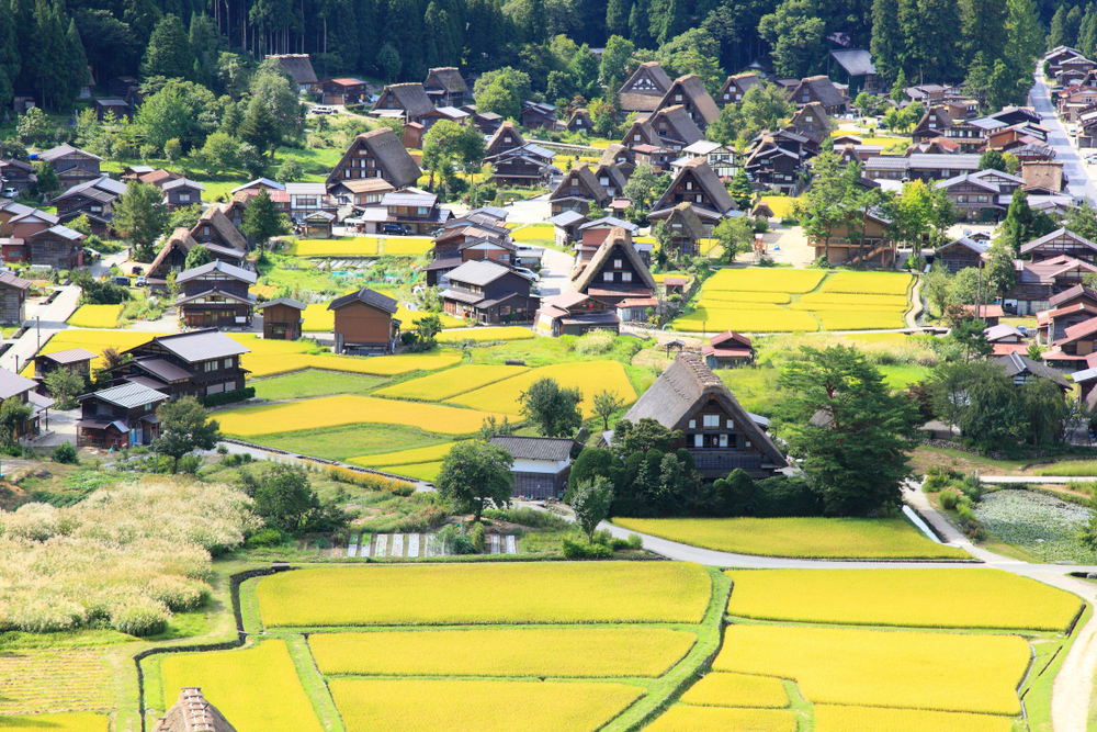 Shirakawa-go (Gifu)