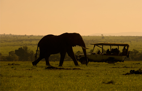 ☆エミレーツ航空ファーストクラスで行く☆セイシェル・マサイマラ・ドバイ３国周遊　ノースアイランド、オロナナ、バージアルアラブ　ハイクオリティな９日間