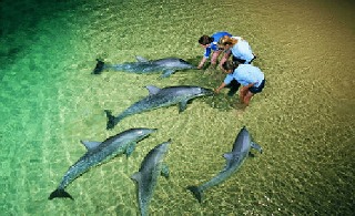 冬休みオーストラリアイングリッシュキャンプ【11/13（月）締切】