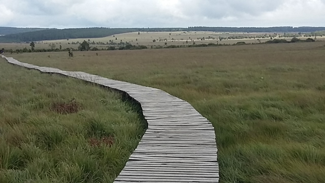 ベルギーの自然を満喫♪ボトランジュ自然公園ハイキング＆ワロン地方巡り＜日帰りツアー＞