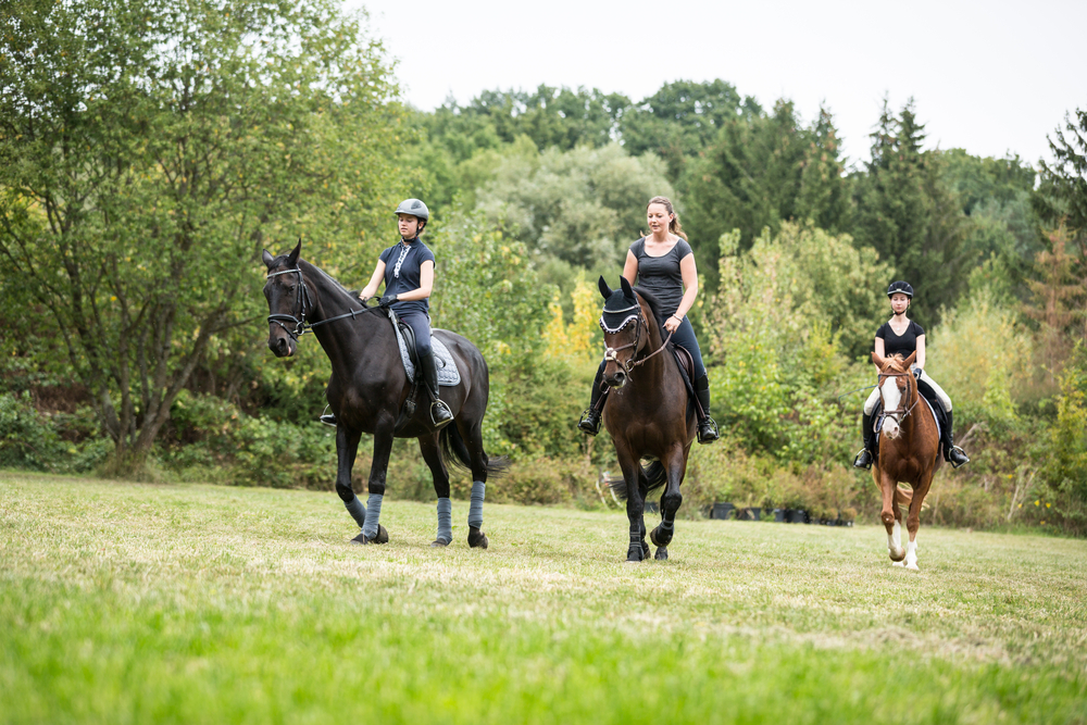 ２０１７年冬休みオーストラリアイングリッシュキャンプです！