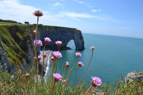 ユニークな名所：エトルタ庭園