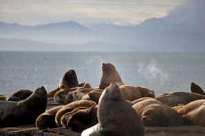 ワンダーランド！カムチャツカ半島