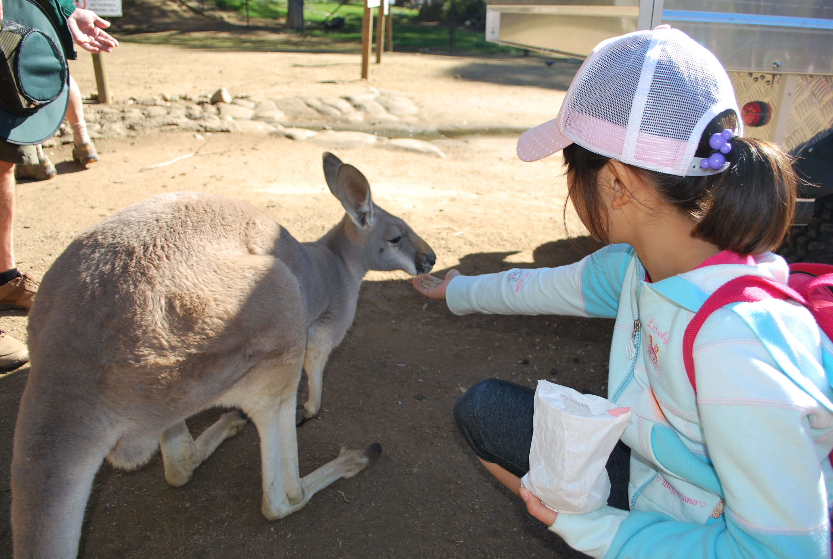小学生から参加出来るオーストラリアイングリッシュキャンプ【11/13（月）締切】